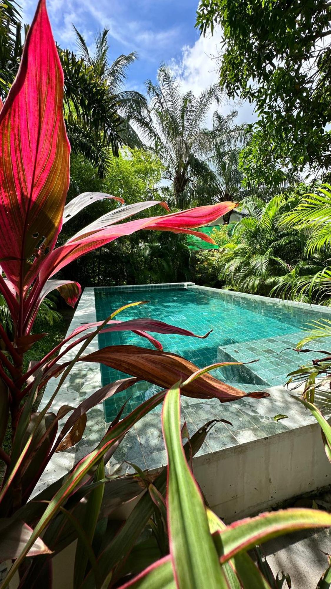 Salad Beach Guest House Ko Pha Ngan Buitenkant foto